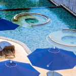 pool filter pump experts in Abu Dhabi